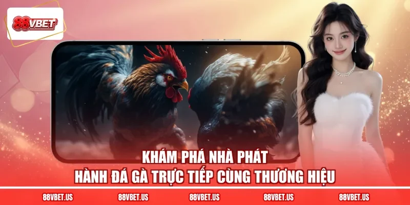 Khám phá nhà phát hành đá gà trực tiếp cùng thương hiệu